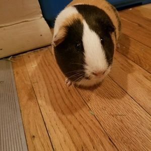 Meet your Posher, Danielle